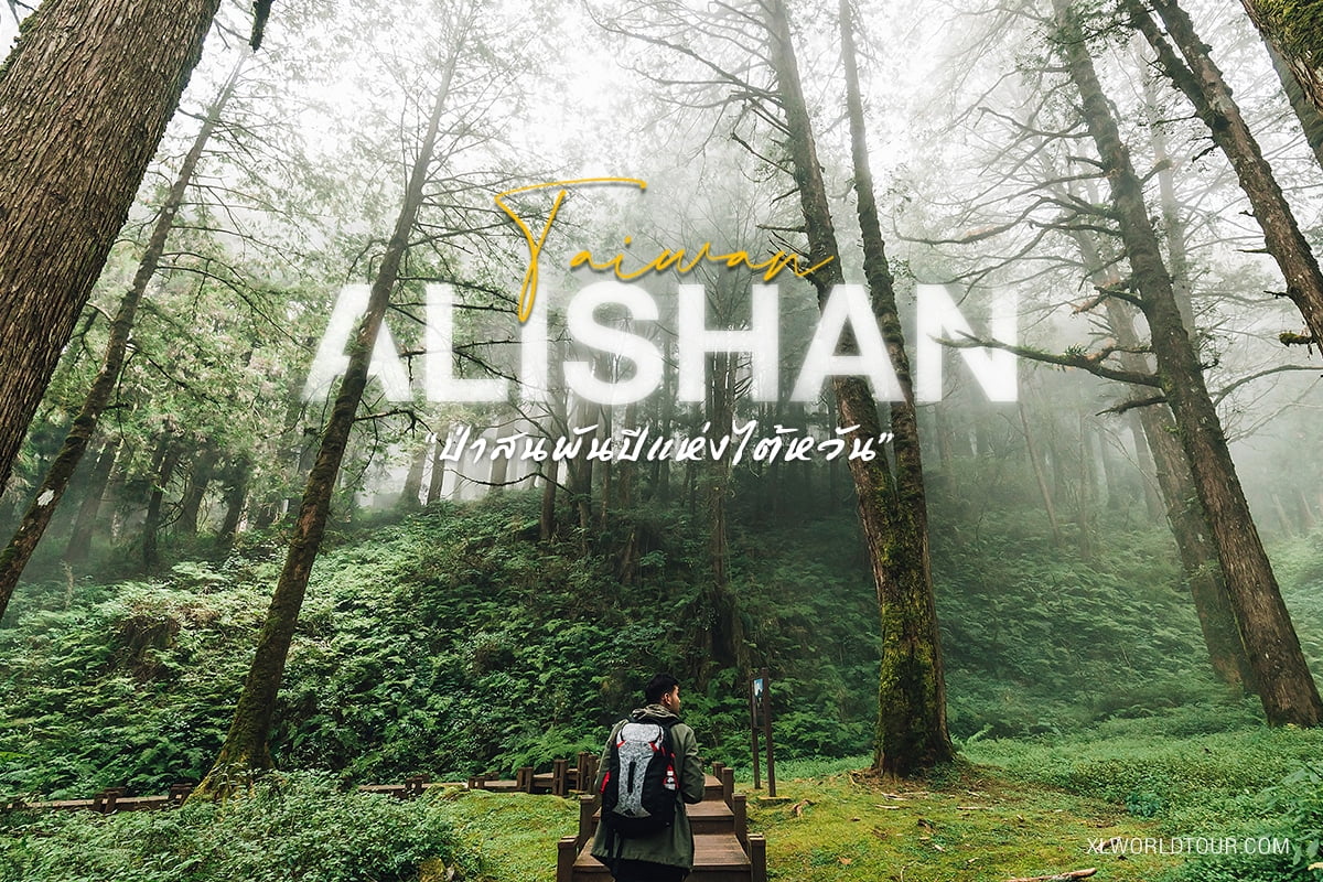 อาลีชาน (Alishan) ป่าสนพันปีแห่งไต้หวัน