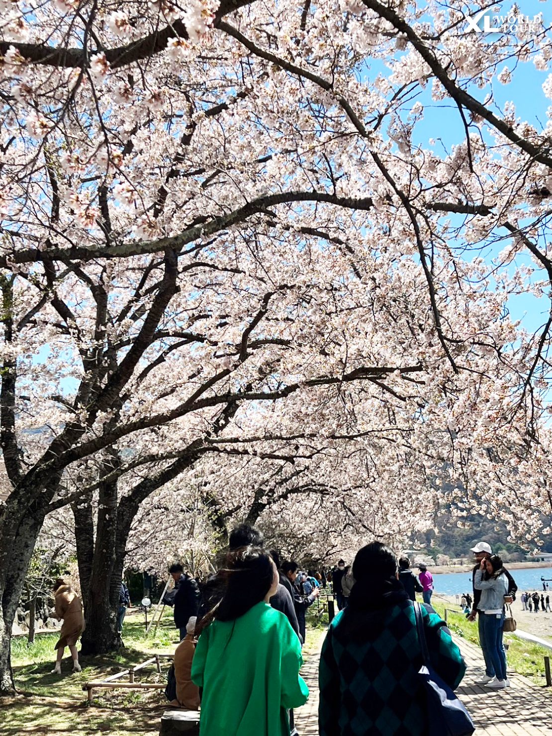 342401808_615798333771738_9220336830749031637_n