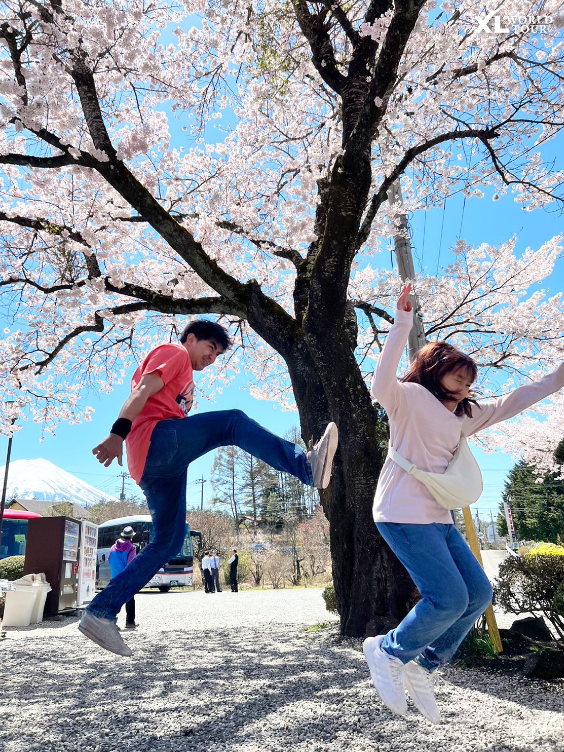 342448219_3373247272935319_1238585484608024072_n