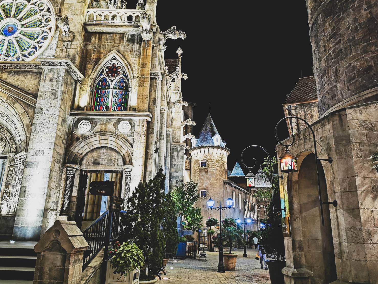 60892720_2232229490362335_2565758409739599872_n