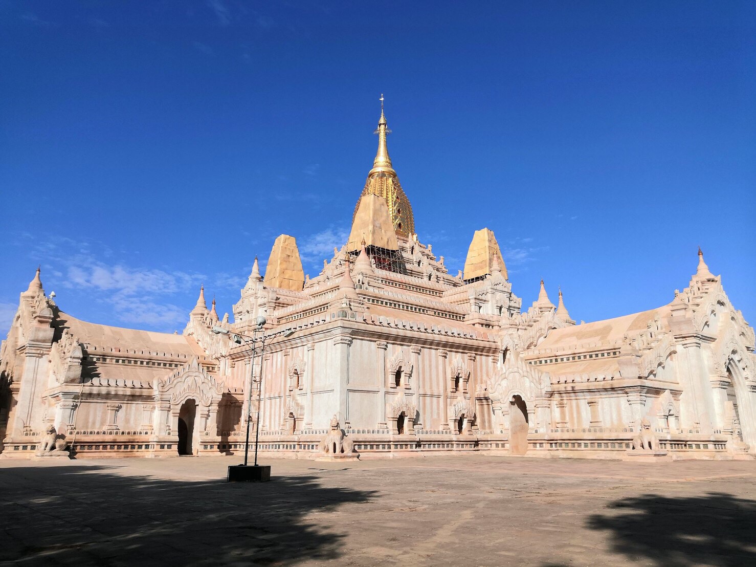 79693061_2383164715268811_5621973308401516544_n