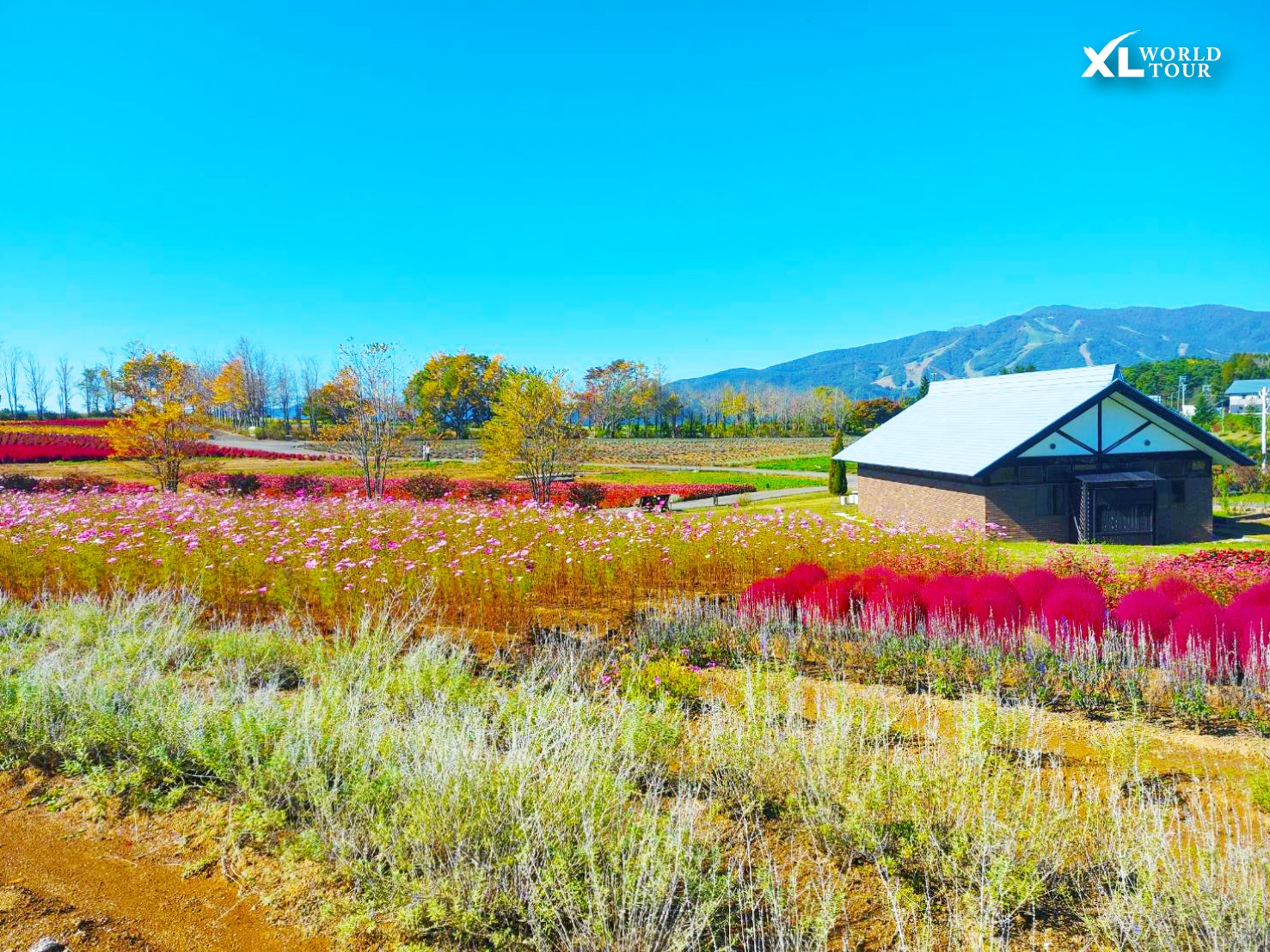 397903645_665187919037627_730318194680192805_n