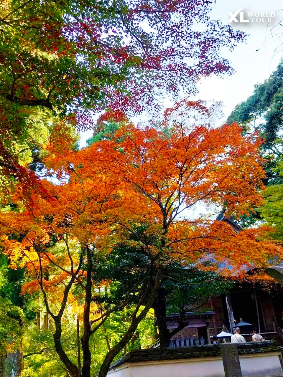 400092037_669773851912367_6566502818961617428_n