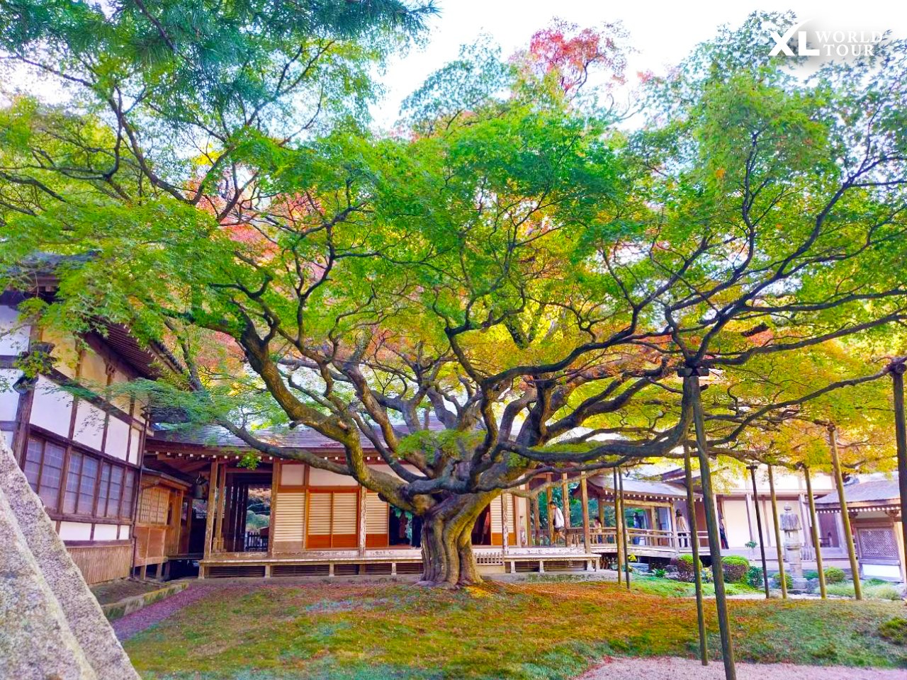 400429384_669773755245710_4095677358745028883_n