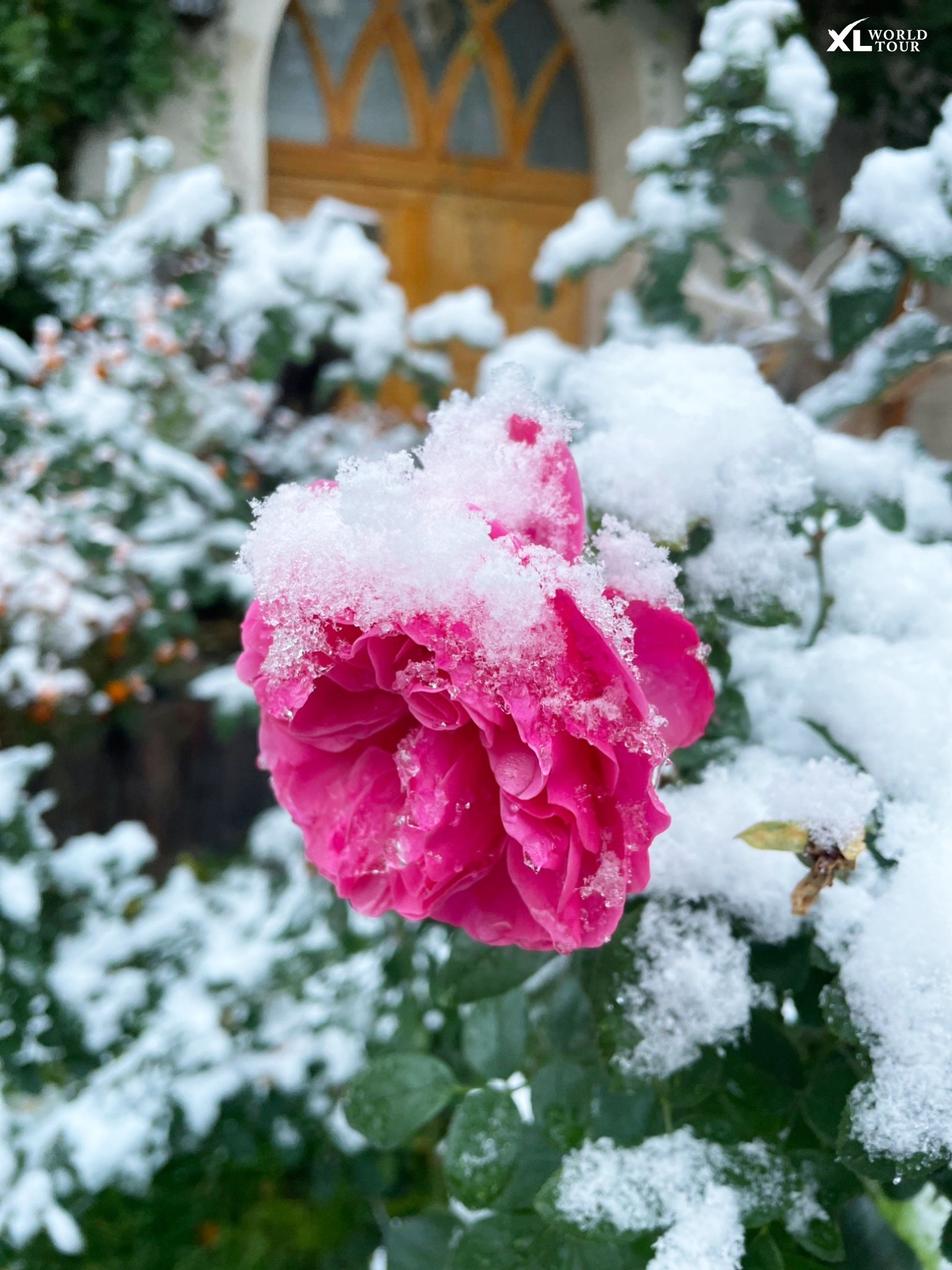 407789397_684565460433206_2284085955232331525_n