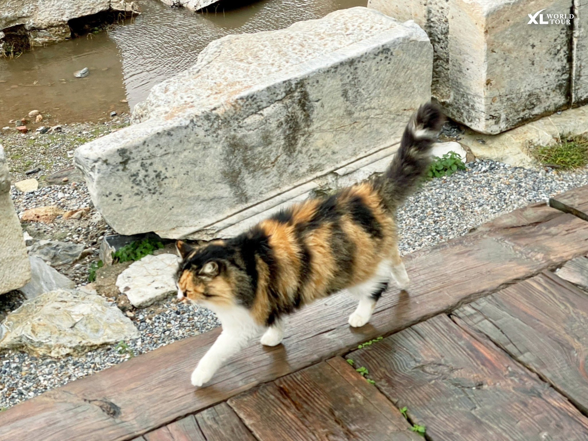 408432318_684566033766482_5072046772136698379_n