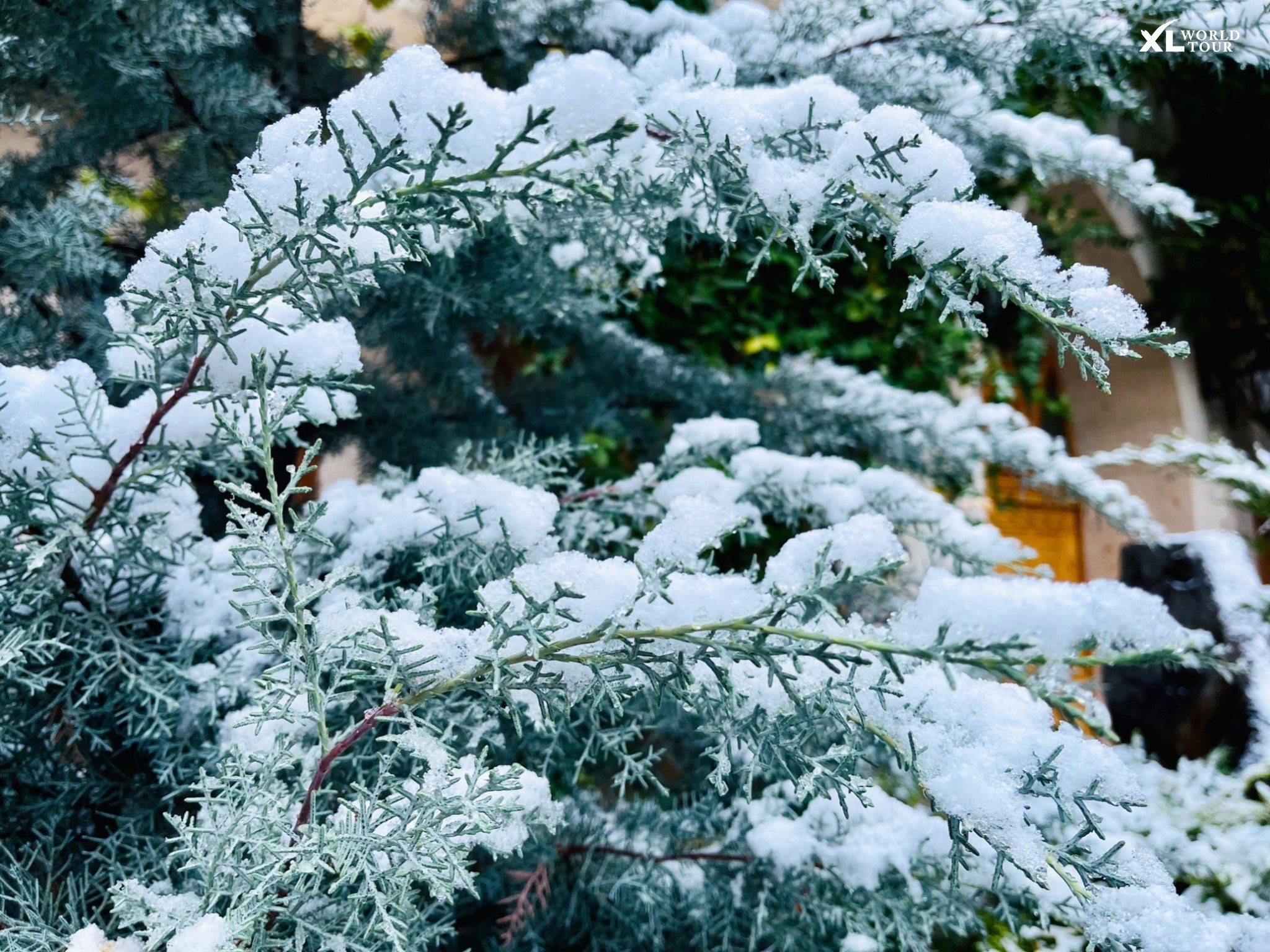 408438414_684565723766513_3044320627201645783_n