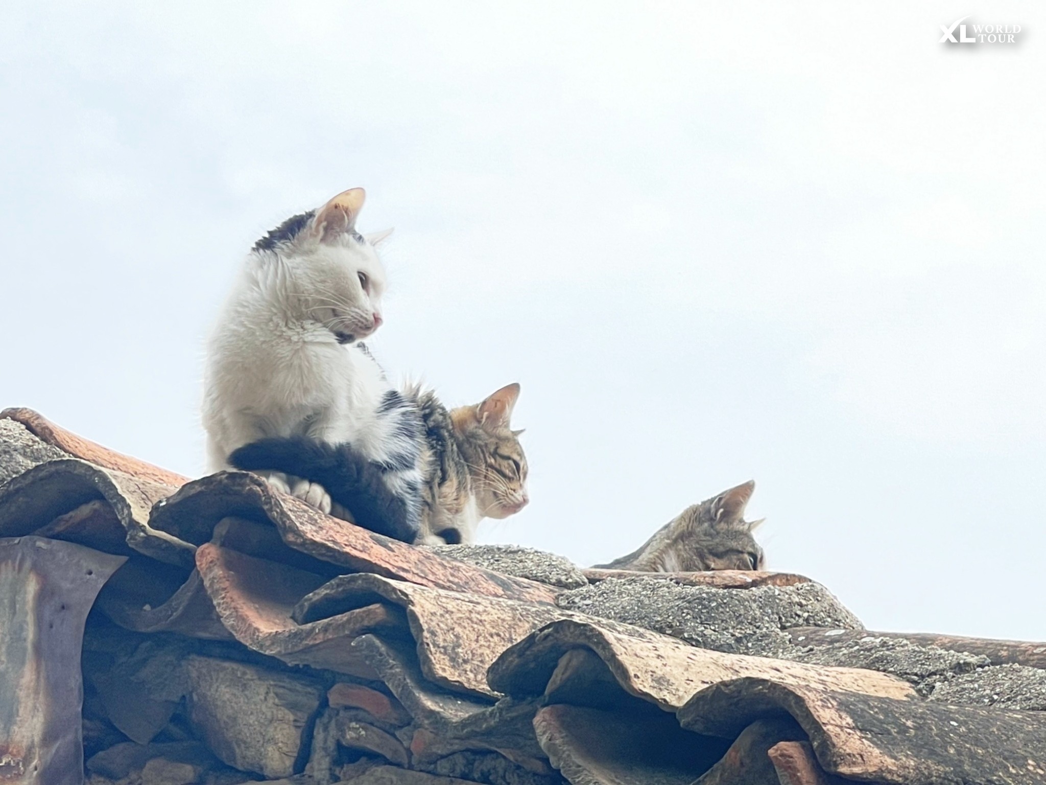 408454018_684566230433129_7968806346582008809_n