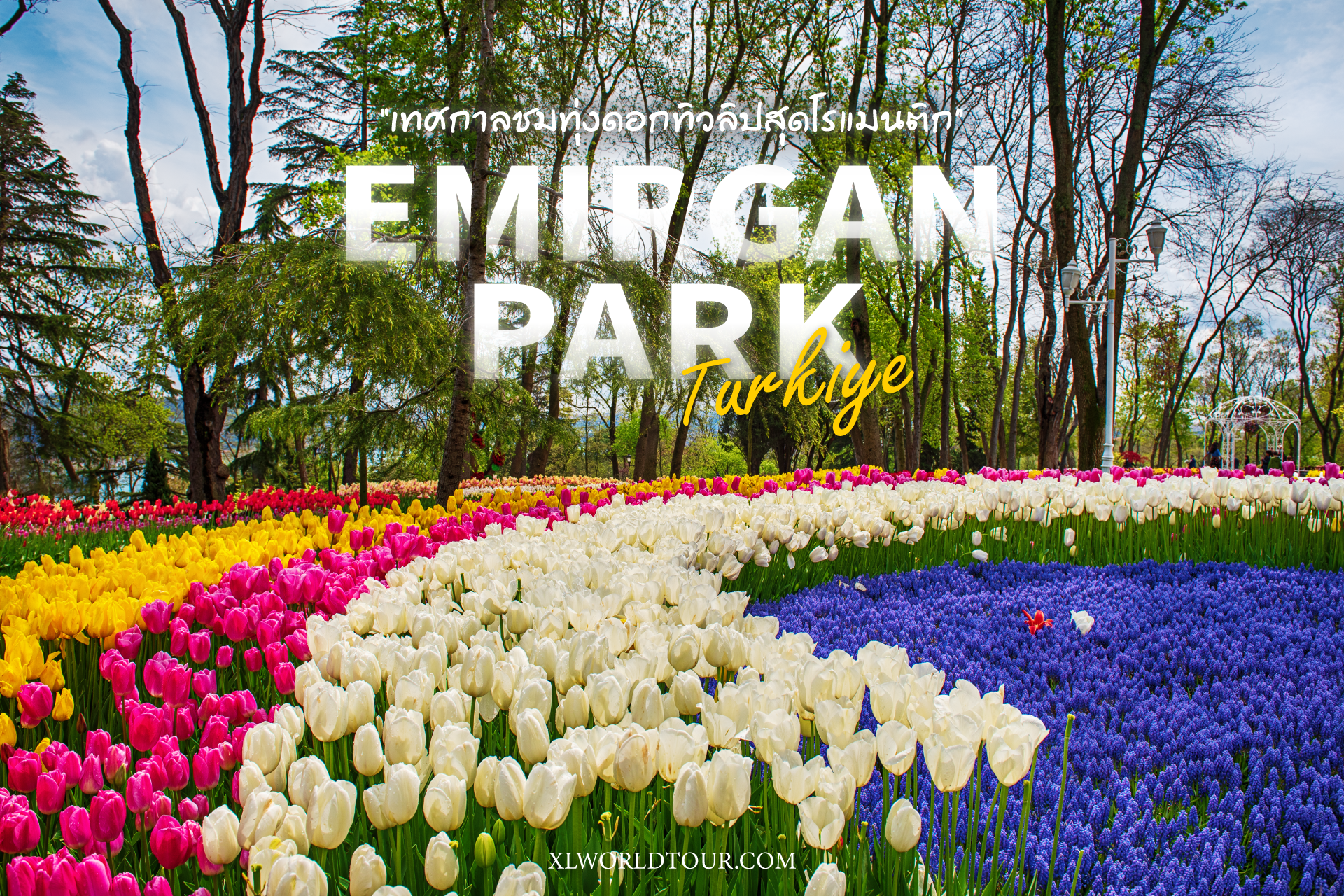 ชมเทศกาลดอกทิวลิปในสวน Emirgan Park ที่ตุรเคีย (ตุรกี)