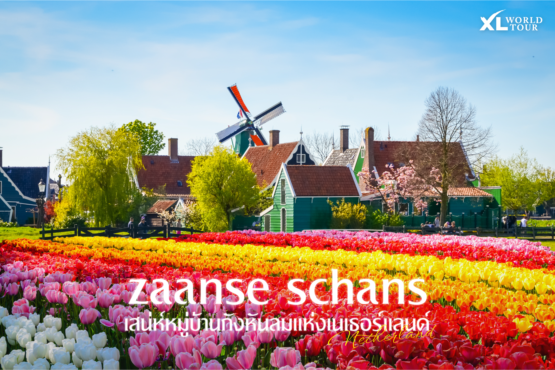 Zaanse Schans ชมเสน่ห์หมู่บ้านกังหันลมแห่งเนเธอร์แลนด์