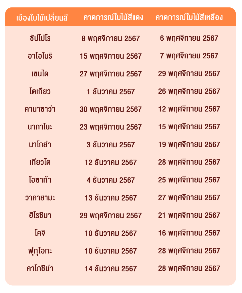 พยากรณ์ ใบไม้เปลี่ยนสี ญี่ปุ่น 2024