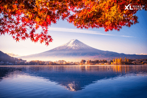 เทศกาลใบไม้เปลี่ยนสี ฟูจิคาวากูจิโกะ (Fujikawaguchiko Autumn Leaves Festival ) ครั้งที่ 26 