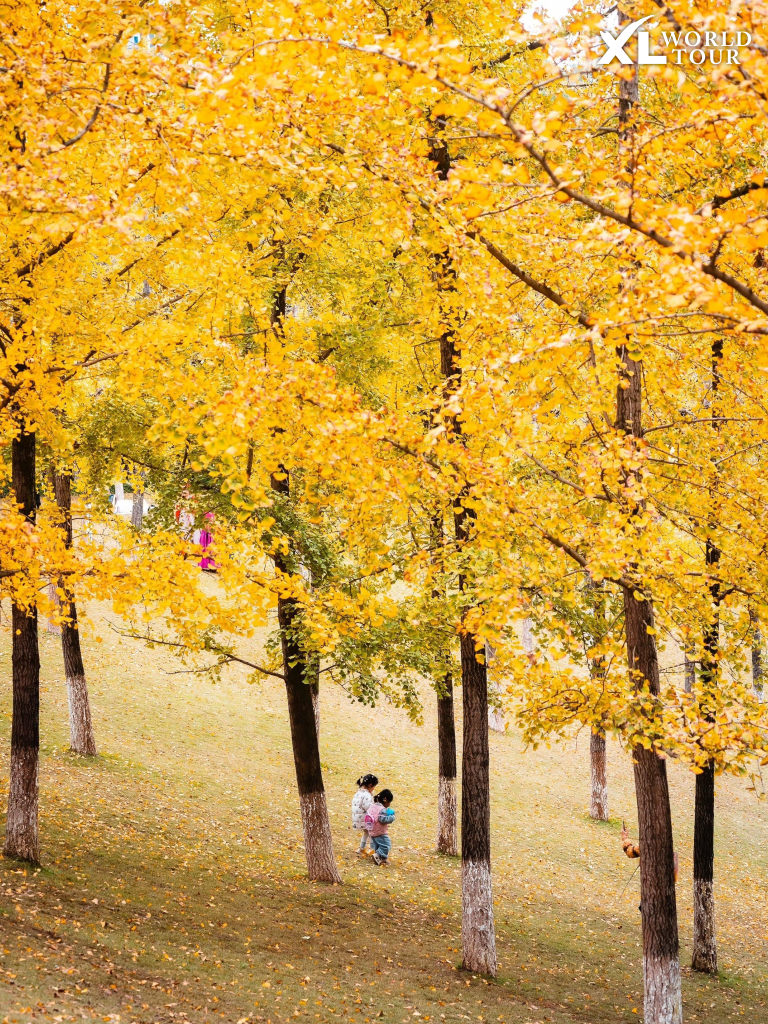 สวนสาธารณะฉงชิ่ง (Chongqing Central Park)