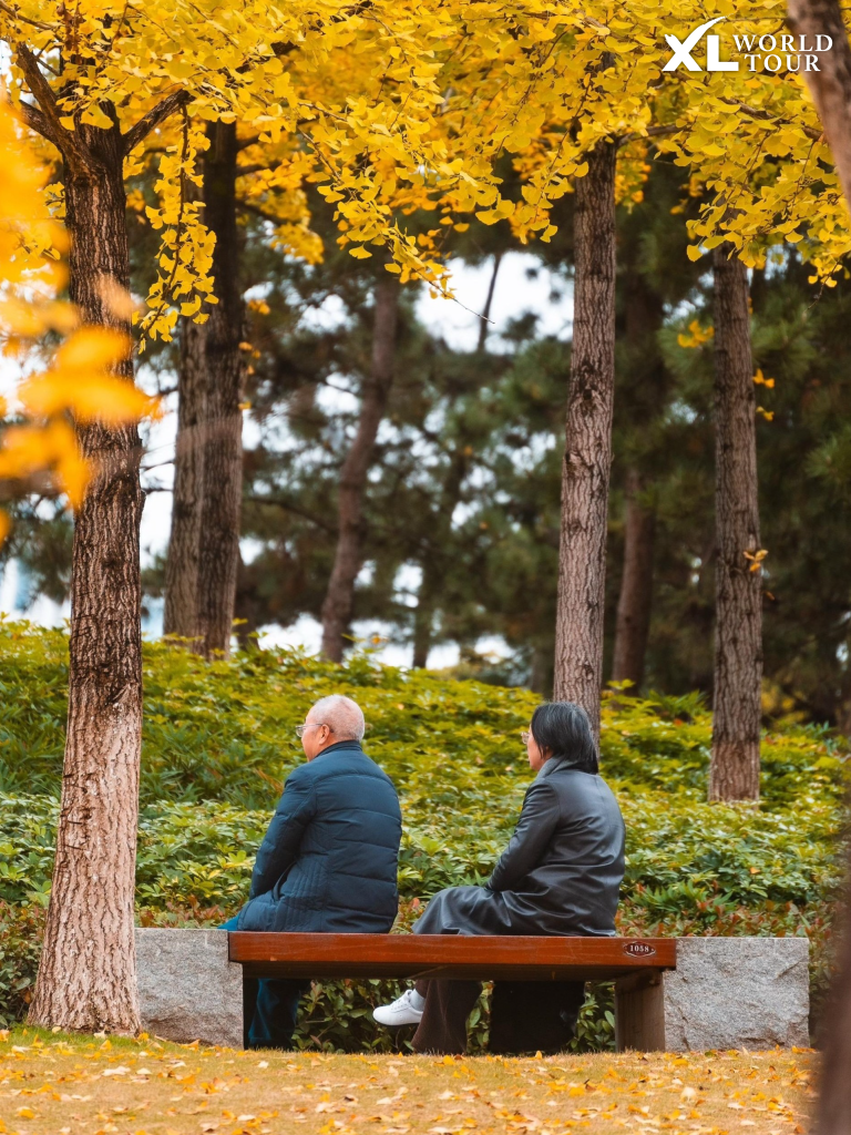 สวนสาธารณะฉงชิ่ง (Chongqing Central Park)