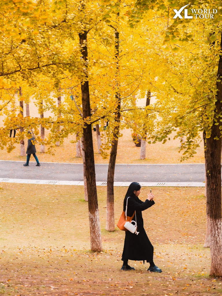 สวนสาธารณะฉงชิ่ง (Chongqing Central Park)