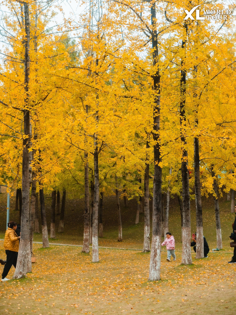 สวนสาธารณะฉงชิ่ง (Chongqing Central Park)
