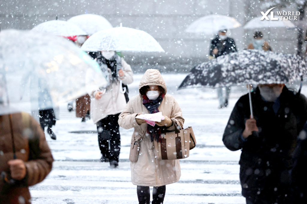 เข้าใจ "ความหนาวแบบแห้ง" และ "ลมหนาว" (Wind Chill)