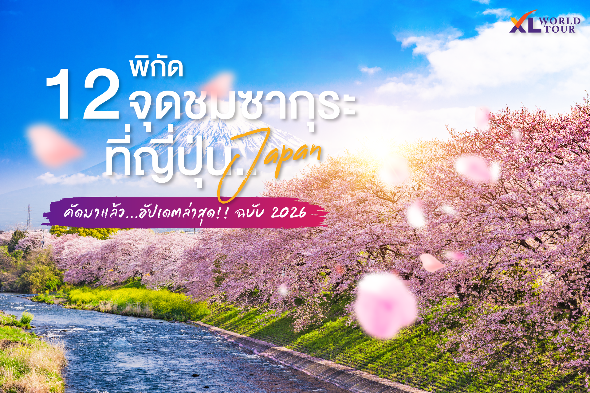 รวม 12 พิกัดชมซากุระทั่วญี่ปุ่นปี 2026 อัปเดตล่าสุด! ตั้งแต่โอกินาว่าถึงฮอกไกโด